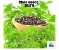 Chia Seeds Chia Seed - 250gm. 