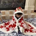 【Parent-Child】Winter Christmas Snowflake Multi-Functional Blanket Flannel Thickened Cape Shawl Cloak Student Nap Blanket.