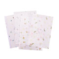 AlineYLingg PVC A4 Binder Pockets Clear Zipper Folders for Notebook Binder Files Reports Binder.