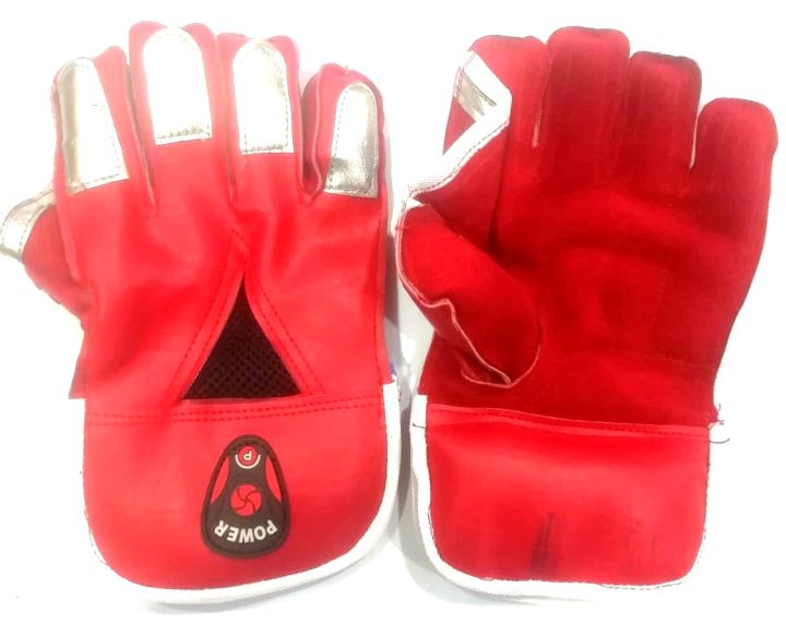 Cricket%20Wicket%20Keeping%20Gloves%20(For%20Kids)%20-%20Image%203