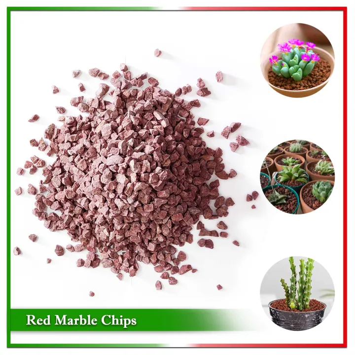 Red%20Decorative%20Stone%20(Gardening,%20Aquarium%20and%20Others)%20-%201%20kg%20-%20Image%202
