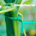 Plant Ties for Climbing Plants 50 Pcs 6 inchi. 