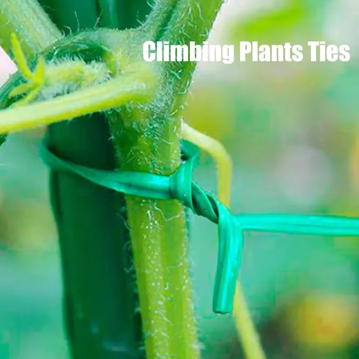 Plant%20Ties%20for%20Climbing%20Plants%2050%20Pcs%206%20inchi%20-%20Image%203