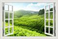 3D Window View Green Landscape wall sticker Removable Tea Garden Wall Stickers Mural Art Sticker Poster and prints. 