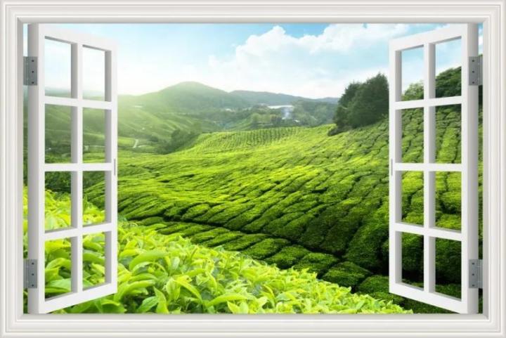 3D%20Window%20View%20Green%20Landscape%20wall%20sticker%20Removable%20Tea%20Garden%20Wall%20Stickers%20Mural%20Art%20Sticker%20Poster%20and%20prints%20-%20Image%207