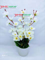 Artificial Cherry Blossom Flower In Plastic Vases --30Cm - Home Decoration Item - Home Decoration Item - artificial flower. 