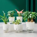 Transparent Double Layer Flower Pot Plastic Self Watering Flowerpot Cotton Rope Watering Potted Planter with Injection PortBasketball. 