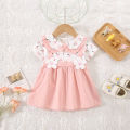 Summer New Baby Girls Dress Lapel Lace Ruffles Sweet Cute Little Flower Floral Floral Print Sweet Princess Dress.