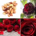 30 Pcs Seeds Global Perennial Red Rose Tree Flower Seeds. 