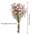 Small Natural Dried Flowers Bouquet Natural Dried Bouquets Fresh Dried Preserved Flowers Dry Flowers Press Home Wedding Decor. 