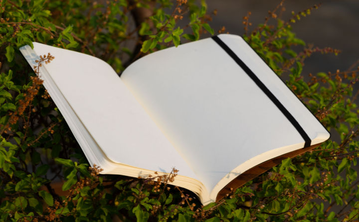 Daily%20Journal%20Red%20Notebook%20with%20Elastic%20Band%20-%20Image%206