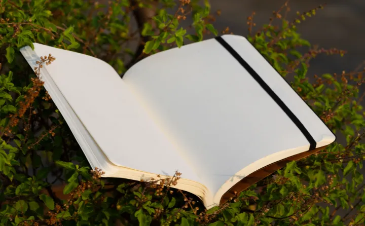 Daily%20Journal%20Orange%20Notebook%20with%20Elastic%20Band%20-%20Image%202