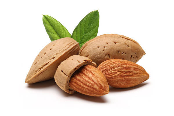 Almond%20Nut-Natural%20kath%20badam-100gm%20-%20Image%204