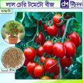 Cherry Tomato Red Color - 20 pcs Seed F1 Hybrid - চেরি টমেটো লাল.