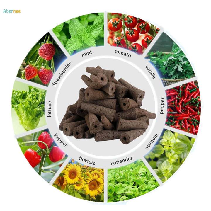 Planting%20Set%20Hydroponics%20Supplies%20for%20Growing%20Piece%20-%20Image%205