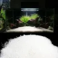 White Sand For Aquarium - 0.5/01/02 Kg pack You can Select Planted Aquarium White Sand - একুরিয়ামের জন্য সাদা বালি.