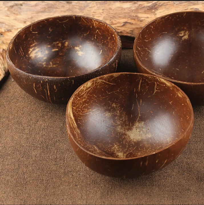 Natural Coconut Bowl Spoon Set Fruit Salad Noodle Rice Bowl Wooden ...