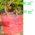 triple bag for planting tree 1 pis.