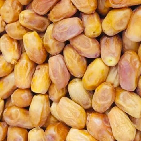 Zahidi%20Dates%20-%201Kg.%20Zambo%20Size%20-%20Image%202
