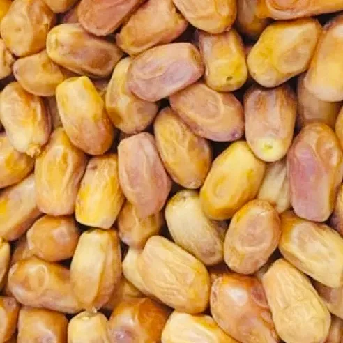 Zahidi%20Dates%20-%201Kg.%20Zambo%20Size%20-%20Image%202
