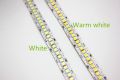 1/2/3/4/5m/lot 10mm 2835 SMD 1200 LED Strip tape DC12V 24V ip20 Non waterproof Flexible Light 240 leds/m, White Warm White.