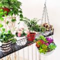 4 Pcs 8 inch Hanging Planter Pots,Self-Watering Round Hanging Basket with Water Tray and Metal Chain,Succulent Flower Plant Pot Container for Indoor Outdoor Garden Balcony Wall Decor,White. 