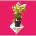 2 Pcs Wall Hanging Kite Flower Stand . Self Adhesive Punch Free Wall Decorative Showpiece Holder Only . Only square Shape Stand Without Flower & showpiece..