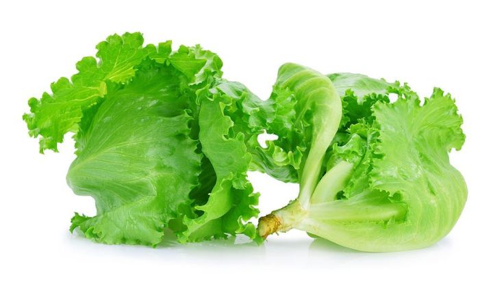All%20season%20Lettuce%20leaf%20seed%2040pice%20+%20gift%20-%20Image%203
