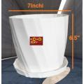 Camellia 7 Inchi planter white with tray 1 pcs.