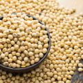 Soybean Seeds -500Gm. 