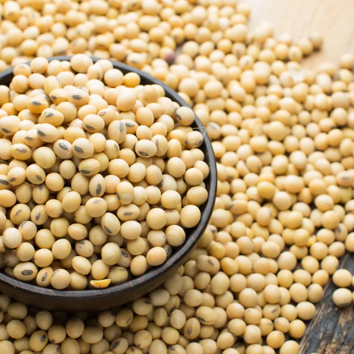 Soybean%20Seeds%20-500Gm%20-%20Image%203