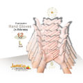 Hand Gloves, Examination Vinyl Hand Gloves.