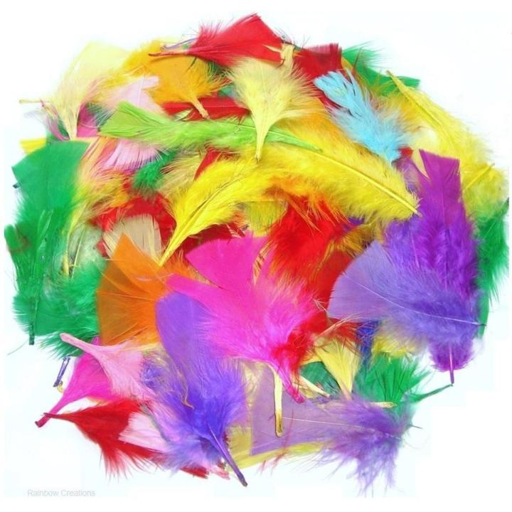 Mixed Small Craft Feathers/ Crafts Feathers 50pis
