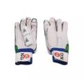KG Cricket batting gloves. 