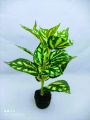 Artificial Leaves & Plant 9inc In plastic Pot For Office Decoration,jime shops flowers. 