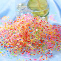 Yfashion 1000pcs Rubber Band Hair Rings Disposable Colored Small Rubber Band Hair With Candy-colored Rings. 