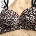 Soffy Comfortable Tiger Printed Foam Paded Pushup Inner Bra for Beautiful Lady and Girls - Bra S.