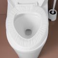 10pcs Travel Disposable Toilet Seat Covers Biodegradable Disposable Toilet Paper Pad Safety Travel Camping Closestool Mat.