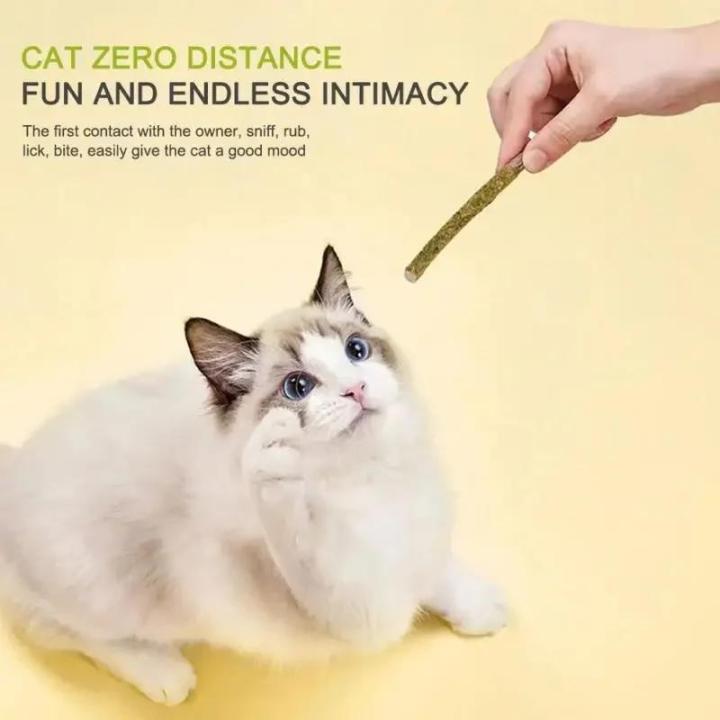 6pcs%20Natural%20Matatabi%20Cat%20Stick%20Mint%20Caught%20Bite%20Excited%20Rods%20Silvervine%20For%20Cat%20Teeth%20Cleaning%20Treating%20Pet%20Supply%20Cat%20Toys%20-%20Image%202