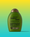 International European product Hair care Ogx Teatree Mint Conditioner used for male/ female - 385 ml.