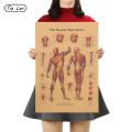 【Cathery Baby Store】Tie Ler Human Body Muscle Kraft Poster Style Wall Sticker Home Bar Cafe Classroom Decor Painting 42x30cm. 