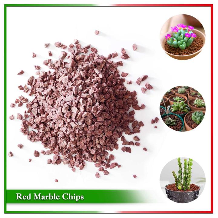 Red Decorative Stone (Gardening, Aquarium and Others) - 1 kg
