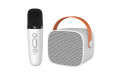 Mini bluetooth speaker, P2 wireless audio, karaoke microphone, home outdoor, portable karaoke audio. 