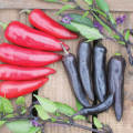 ghost pepper Planting Bonsais Carolina Reaper chili Pepper plants Super Hot plants vegetables home garend seeds (বীজ). 