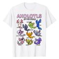 Axolotl Shirt Kawaii Axolotls of The World Axolotl Animals T-Shirt Types of Mexican Walking Fish Kawaii Artwork Tee Cartoon Tops. 
