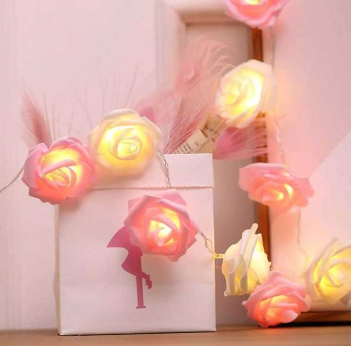 %E0%A6%97%E0%A7%8B%E0%A6%B2%E0%A6%BE%E0%A6%AA%E0%A7%80%20%E0%A6%B0%E0%A6%99-20%20led%20%E0%A6%AB%E0%A7%87%E0%A6%87%E0%A6%B0%E0%A6%BF%20%E0%A6%B2%E0%A6%BE%E0%A6%87%E0%A6%9F%20%E0%A6%AC%E0%A6%BE%E0%A6%A1%E0%A6%BC%E0%A6%BF%E0%A6%B0%20%E0%A6%B8%E0%A6%9C%E0%A7%8D%E0%A6%9C%E0%A6%BE,%20%E0%A6%86%E0%A6%B8%E0%A6%AC%E0%A6%BE%E0%A6%AC%E0%A6%AA%E0%A6%A4%E0%A7%8D%E0%A6%B0,%20%E0%A6%AC%E0%A6%BF%E0%A6%AC%E0%A6%BE%E0%A6%B9,%20%E0%A6%9C%E0%A6%A8%E0%A7%8D%E0%A6%AE%E0%A6%A6%E0%A6%BF%E0%A6%A8%E0%A7%87%E0%A6%B0%20%E0%A6%AA%E0%A6%BE%E0%A6%B0%E0%A7%8D%E0%A6%9F%E0%A6%BF,%20%E0%A6%98%E0%A6%B0%20%E0%A6%B8%E0%A6%BE%E0%A6%9C%E0%A6%BE%E0%A6%A8%E0%A7%8B%E0%A6%B0%20%E0%A6%9C%E0%A6%A8%E0%A7%8D%E0%A6%AF%20%E0%A6%97%E0%A7%8B%E0%A6%B2%E0%A6%BE%E0%A6%AA%20%E0%A6%B8%E0%A6%82%E0%A6%B8%E0%A7%8D%E0%A6%95%E0%A6%B0%E0%A6%A3%20-%20light%20decoration%20-%20Image%204