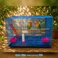 Large Squares Of Bangladeshi Premium Metal Bird Cage (2023) Size: 25 "× 19" Including All Accessories  Cash On Delivery Available. 