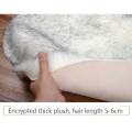 Thick Carpet Soft Sheepskin for Living Room Plush Rug Bedroom Faux Fur Wool Fluffy Floor Carpets Window Bedside Home Decor Rugs. 