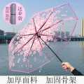 Clear Transparent Umbrella - Stylish, Windproof, Dome Design with Sturdy Frame for Maximum Rain Protection. 