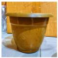 3Pis Combo Plastic Flower Pot 8inch Size. 